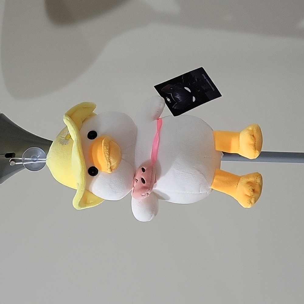Toy Duck